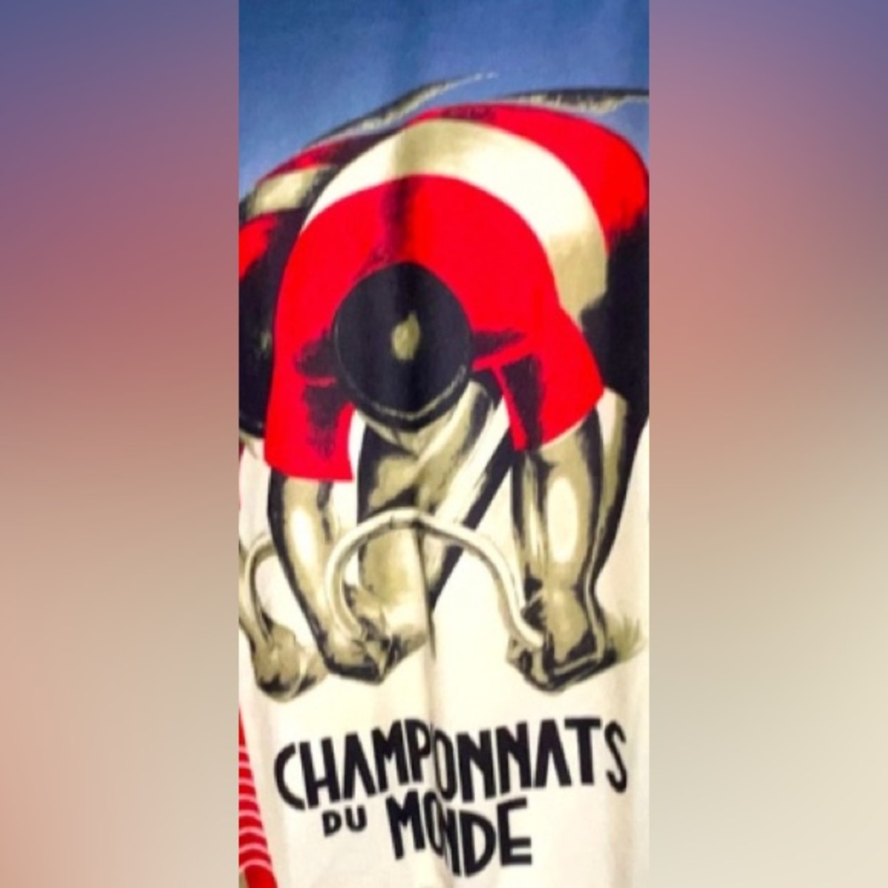 World Cup, 1935 Commemorative Bikers Shirt w/ International Flags